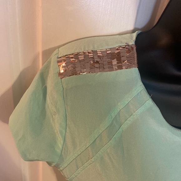 “DANA-MAXX” Silk Agnyss Flores Mint & Sequin Dress - Picture 12 of 16